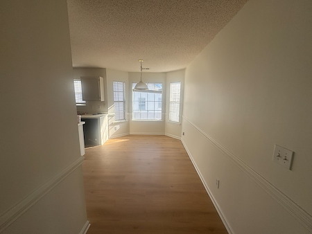 Interior Painting Timeline: How Long Does a Whole-Home Repaint Take?